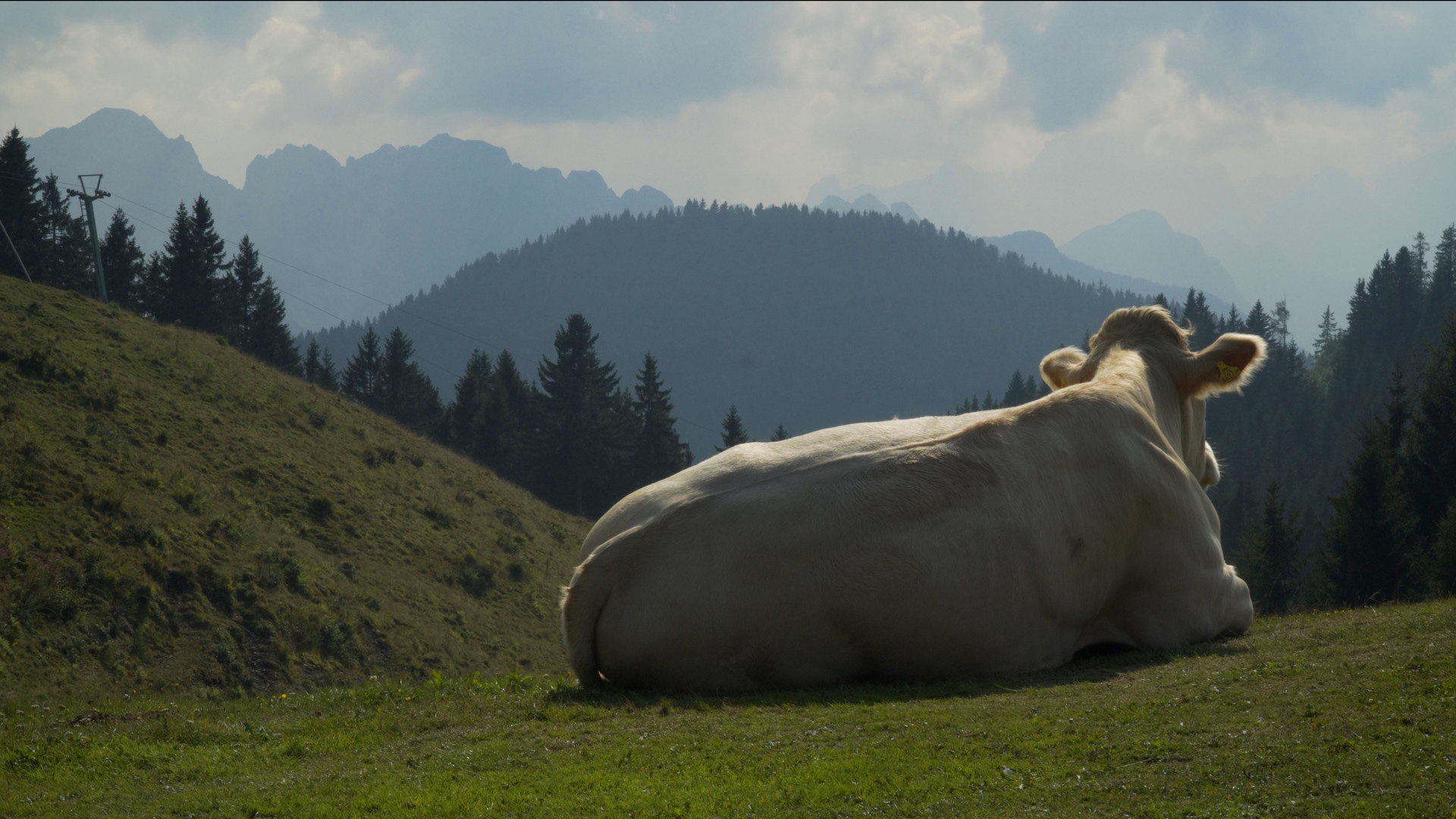 one-corner-of-paradise_stills-02