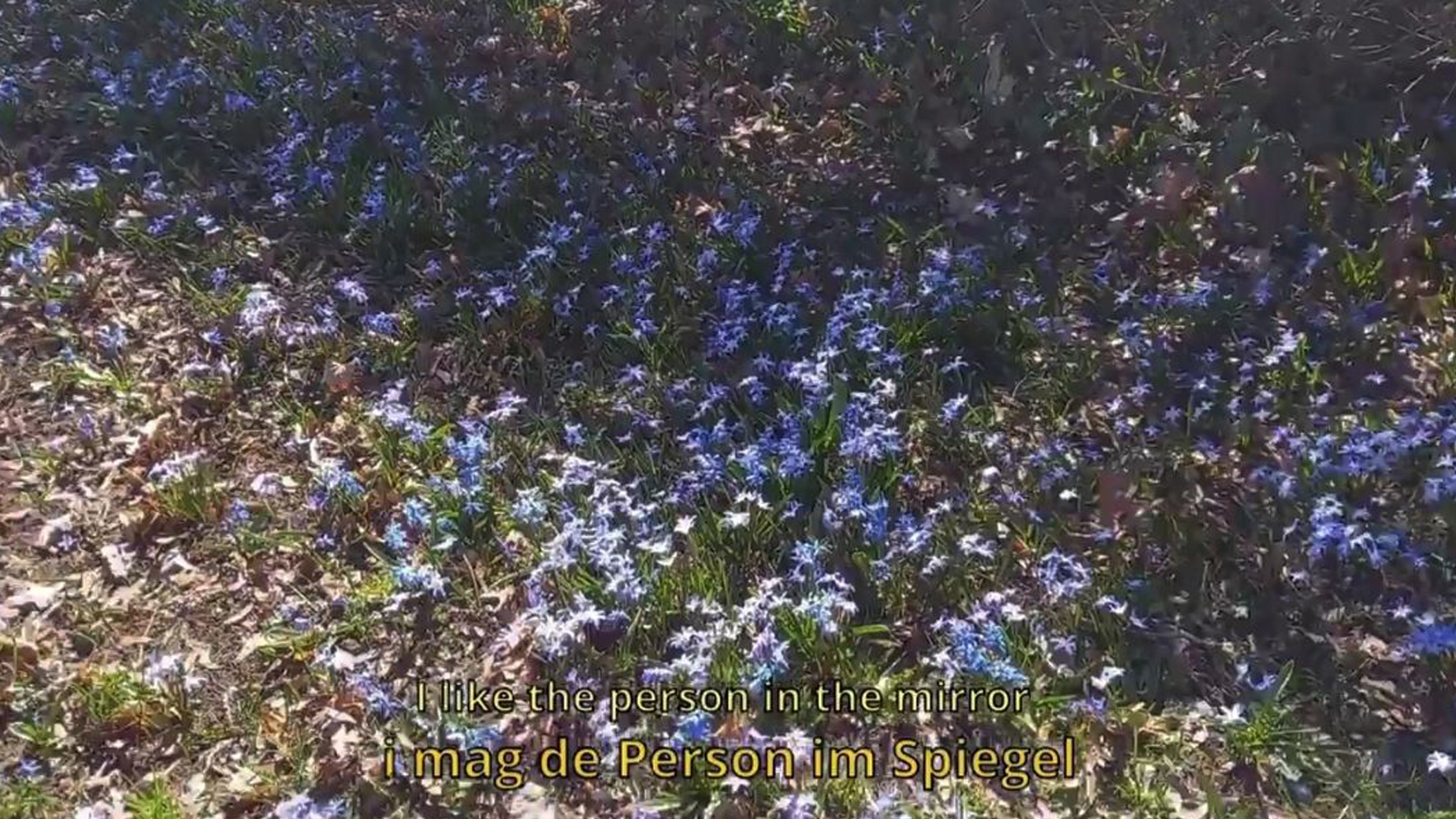 taubenglas_stills-02