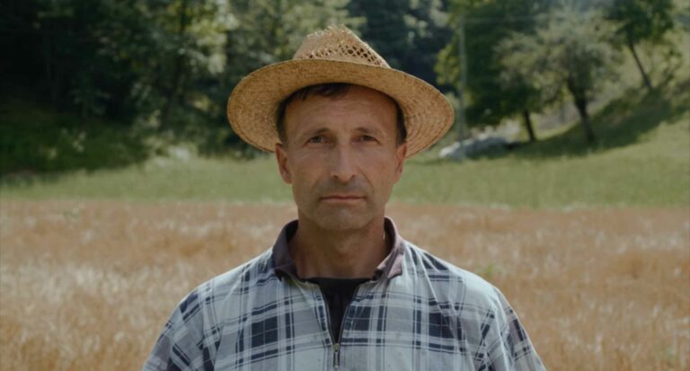 A Verena_Tree Grows in My Dreams Every Night