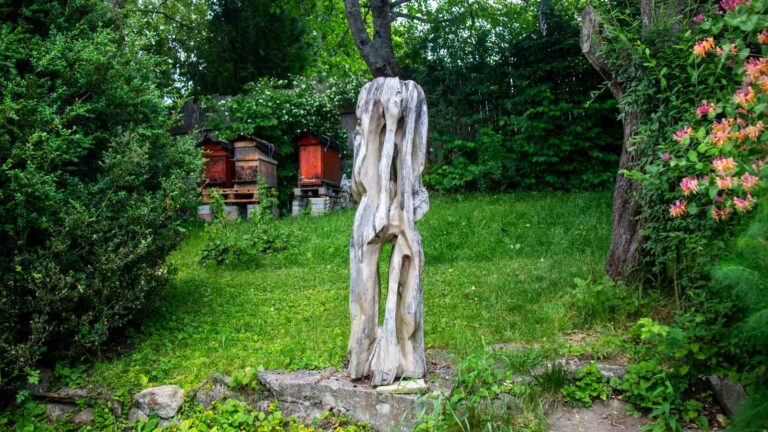 Ambiente_Waldviertel2(c)hrisHaderer